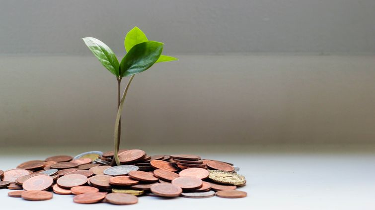 Pile of change with plant sprouting from it representing financial growth for small business owners