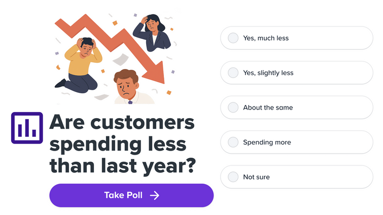 is customer spending down in 2025 promo