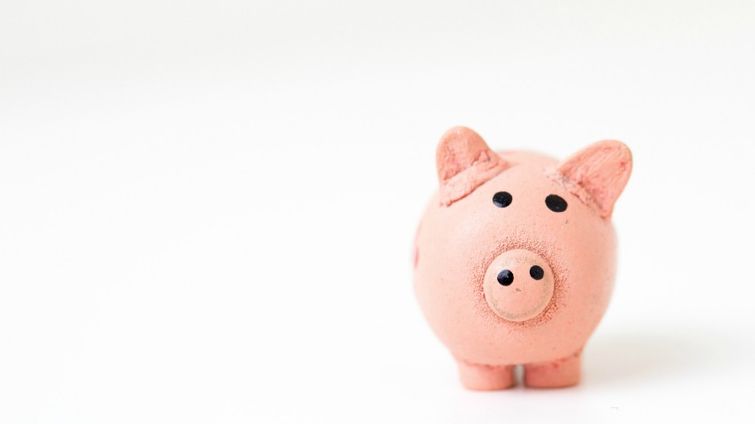 Ceramic pink pig against white background