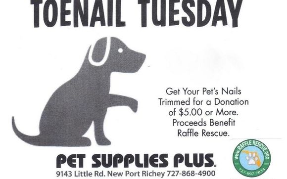 TOENAIL TUESDAY FUNDRAISER by RaffleRescue in New Port Richey