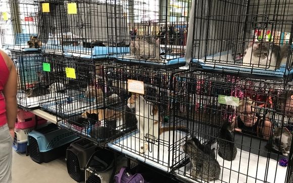 Unleashed by 2024 petco brooklyn