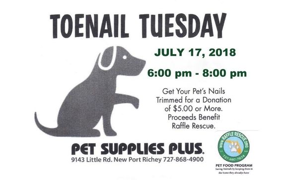 toenail tuesday pet supplies plus