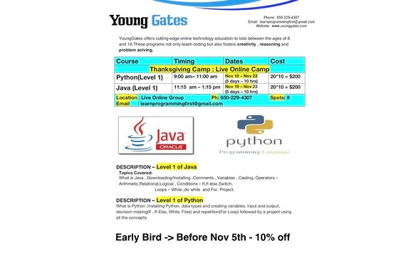 Online Thanksgiving Camp - Kids Python/java Programming by Young Gates ...