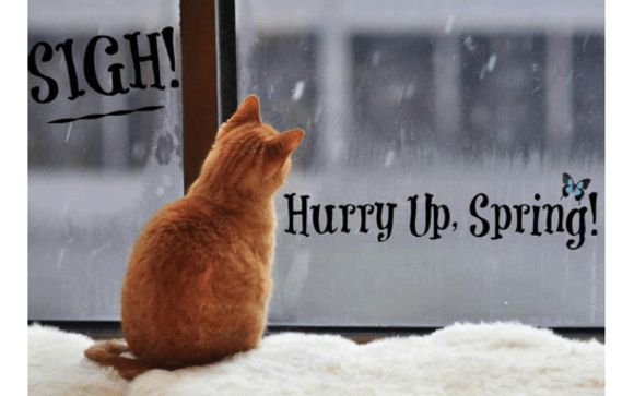 Waiting For Spring! Online SHOPPING Event February 18 - 28, 2019 by Rising  Star Events in Inverness, FL - Alignable
