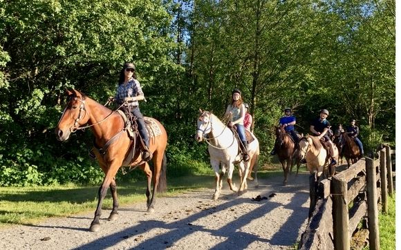 живая тропа волгоград. жива тропа. конный клуб нижний новгород ржавка. катание на лошадях новомихайловский. туристические тропы карелии.