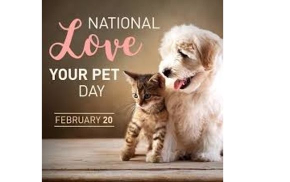 National Love Your Pet Day February 20th By Arff Boutique Pet
