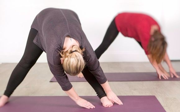 Tre Tension Trauma Release By Yoga With Serena In San Mateo Ca Alignable
