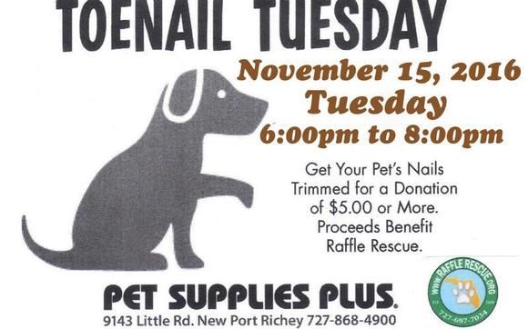 toenail tuesday pet supplies plus