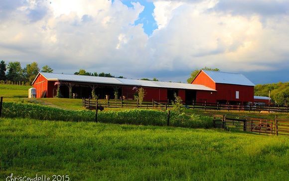 The Barn At Soergel Hollow Annual Craft Show And Amish Donut Sale