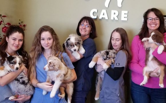 Temecula Valley Animal Hospital By Temecula Valley Animal Hospital In Murrieta Ca Alignable