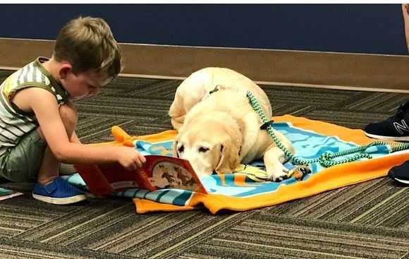 Therapy Dog Training with Hudson Valley Paws for a Cause