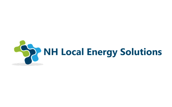 Local Energy Solutions Conference with Froling Energy