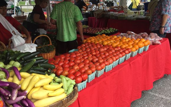 Palm Beach Gardens Green Market By The Virtual Realty Group In