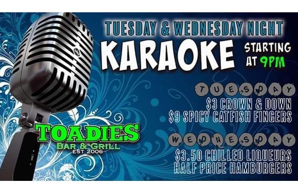 Tuesday Night Karaoke At Toadies Bar And Grill By Carry On Dj Services 