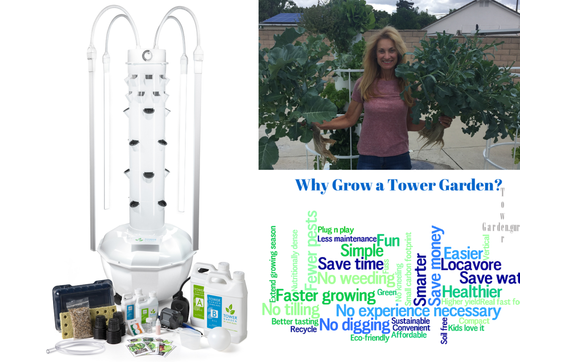 Tower Garden Workshop by Mary Ragland with Juice Plus and Tower Garden ...