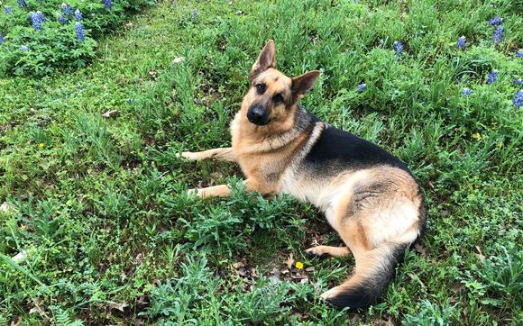 Accepting New Clients by New Recovery Pathways Counseling