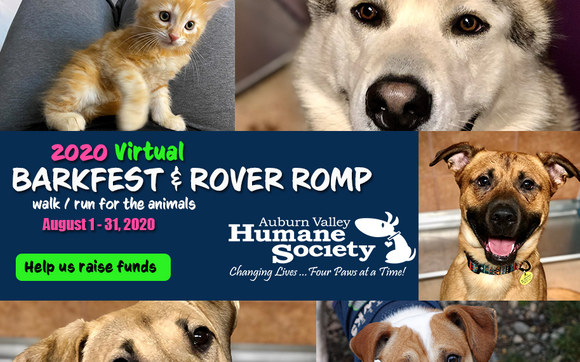 auburn humane society dogs