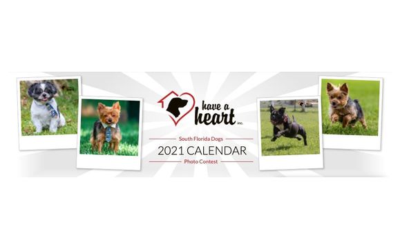 2021 Pet Photo Calendar Contest by Lorena Cora Photography in Hollywood