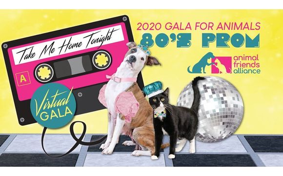 Gala For Animals Virtual 80 S Prom By Animal Friends Alliance In Fort Collins Co Alignable