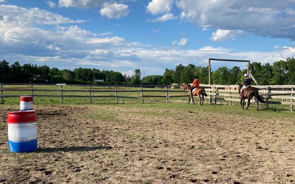 Horse Power at Tail Feather Farm with Tail Feather Farm