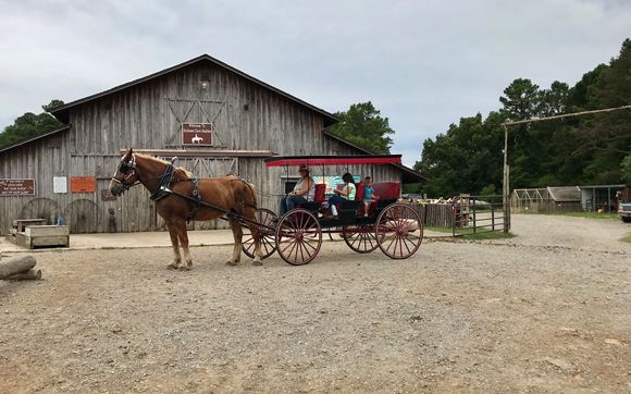 Robbers Cave Stables By Robbers Cave Stables In Wilburton Ok Alignable