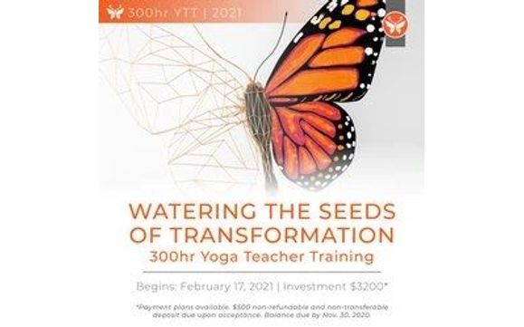Watering The Seeds Of Transformation Yoga Teacher Training By Kodawari Studios In Tampa Fl Alignable