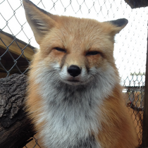 Holiday Market At Back To Nature Wildlife Refuge By Back To Nature Wildlife Inc In Orlando Fl Alignable