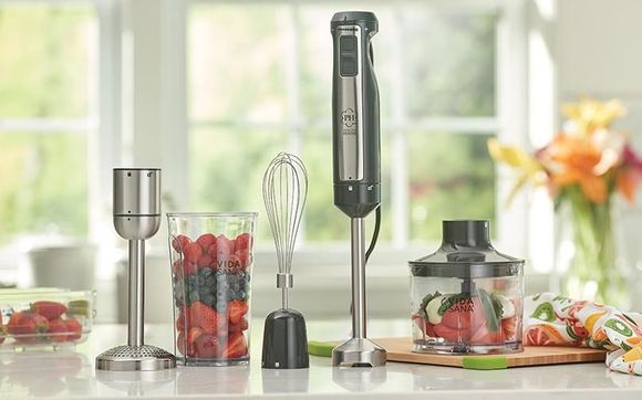 VIDA SANA® ELECTRICS 4-in-1 Immersion Blender by Princess House Products in  Jackson, NJ - Alignable