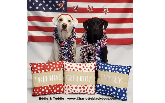 4th of july shirts with dogs