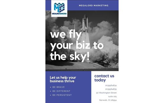 Megalord Marketing LLC - Promote your business to the Sky with Megalord Consulting