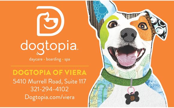 Dogtopia pricing hot sale