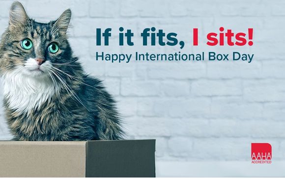 Juneteenth and International Box Day by New Hope Animal Hospital in Rogers,  AR - Alignable