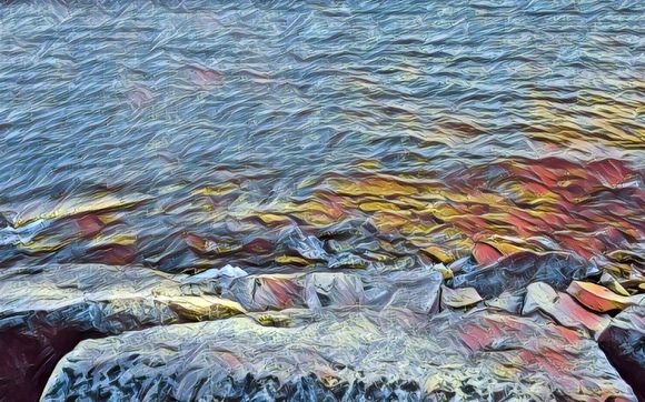 Steven Jackson creatives is now Steven Jackson designs with Steven Jackson designs