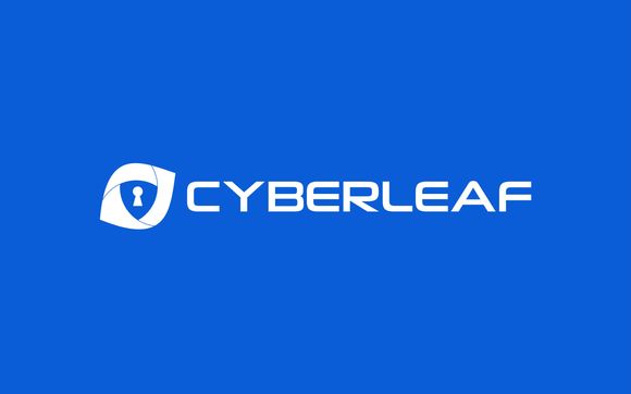 Free Cybersecurity Vulnerability Assessment by Waterleaf International ...