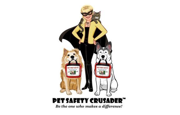 1 2 Off PET FIRST AID INSTRUCTOR TRAINING COURSE By Sunny dog Ink In 
