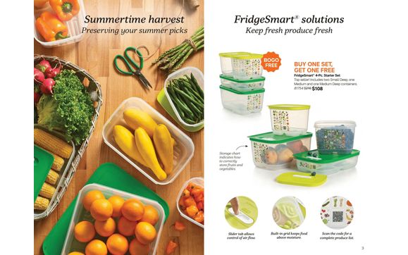 Bogo Fridgesmart 4-pc Starter Set! By Kelly Atlas Tupperware Consultant 