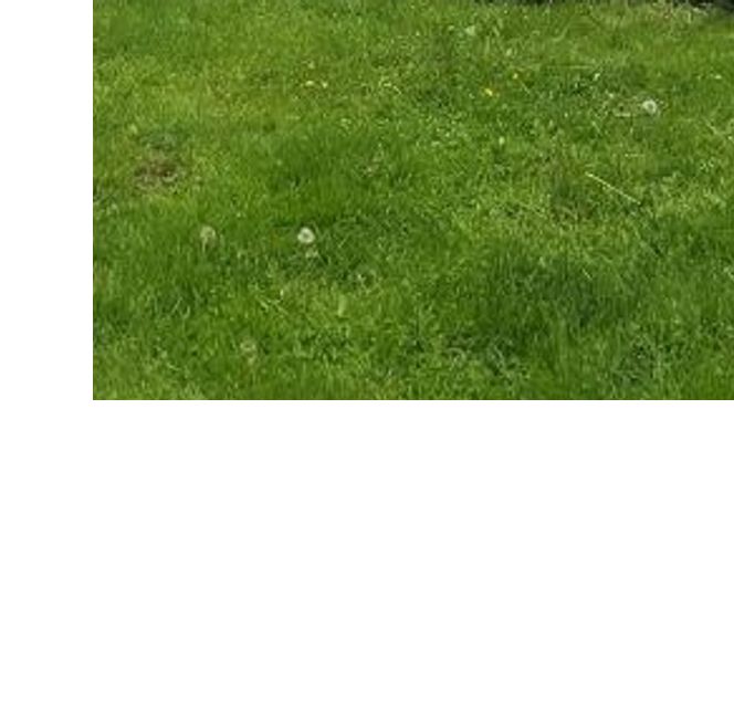 20 off gutter guard with purchase of seamless gutters by 3D Seamless