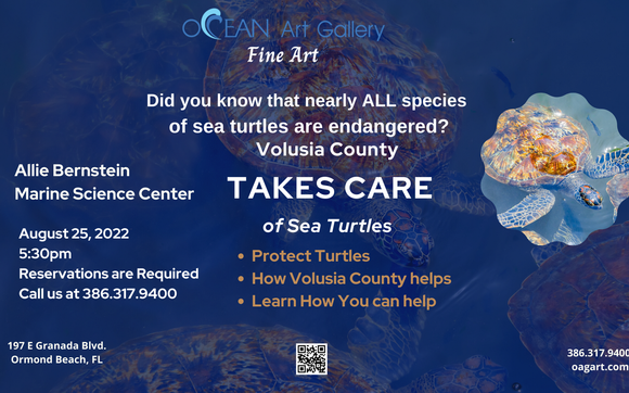 Volusia County Takes Care of Sea Turtles by Ocean Art Gallery in Ormond ...
