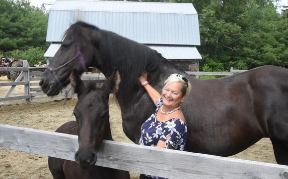 10% off Price for Channeling with Horses  with Lise Pratte Business coach