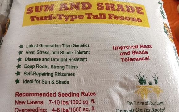 Kentucky 31, Titan, Contractor Mix, Perianal Rye Grass Seed by Beaty ...