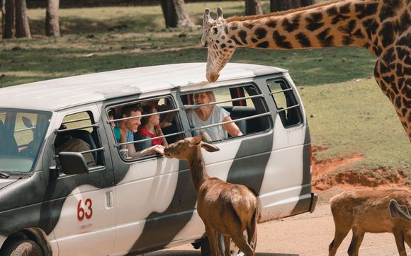 drive thru animal safari georgia