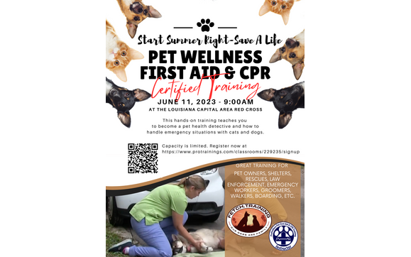 Pet First Aid & CPR Certified Training by FETCH Training LLC in ...