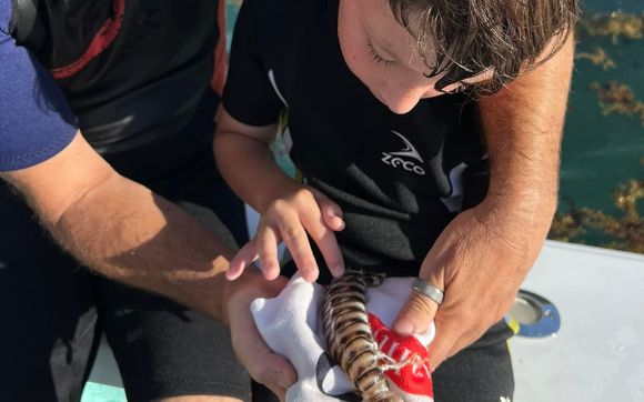 Corys World Catos Bridge | Marine Life with Drug Rehab Marketing Agency and SEO Company