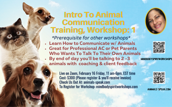 Workshop: Intro To Animal Communication By Loli Jane Animal ...