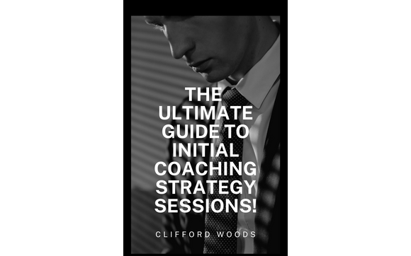 Coaches, Consultants and Business Owners - Free Initial Strategy Session eBook with Skin In The Game Business Coaches