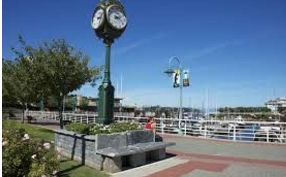 Nanaimo and Area meet and greet