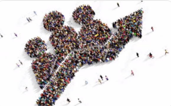 Referrals & Networking on Alignable