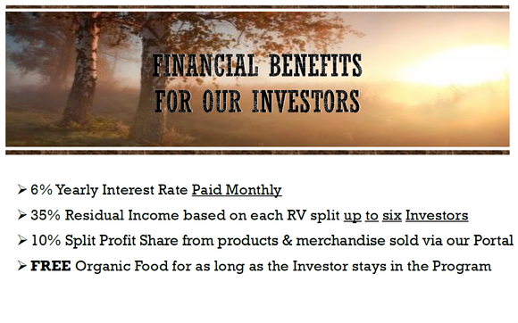 Be the Bank!! Leverage an OLD Dwindling 401k and Make More Money!!