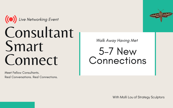 Consultant Smart Connect with Strategy Sculptors – Structure Shapes Everything