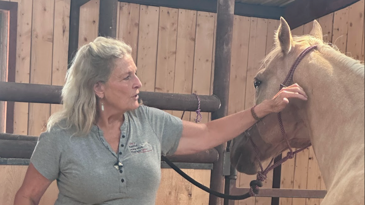 Five Day Acupressure Certification Intensive - Animal Acupressure with Tallgrass Animal Acupressure Resources